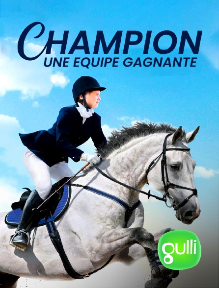 Gulli - Champion, une équipe gagnante