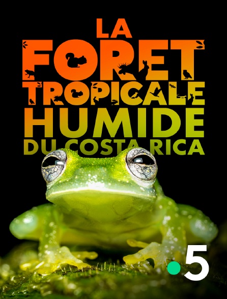 France 5 - La forêt tropicale humide du Costa Rica