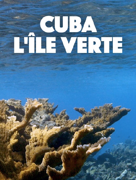 Cuba, l'île verte
