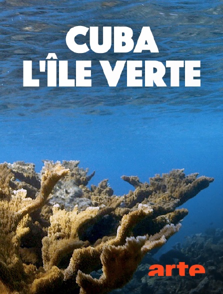 Arte - Cuba, l'île verte