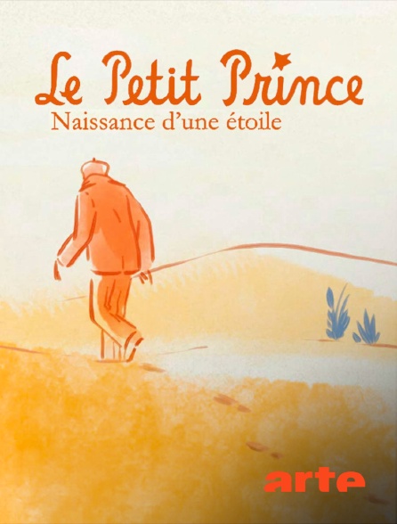 Arte - "Le Petit Prince", naissance d'une étoile