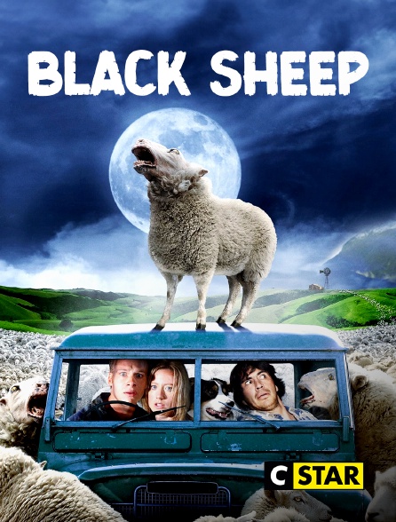 CSTAR - Black Sheep
