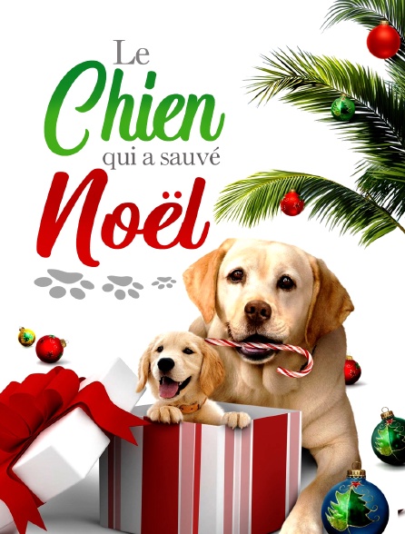 Le chien qui a sauvé Noël