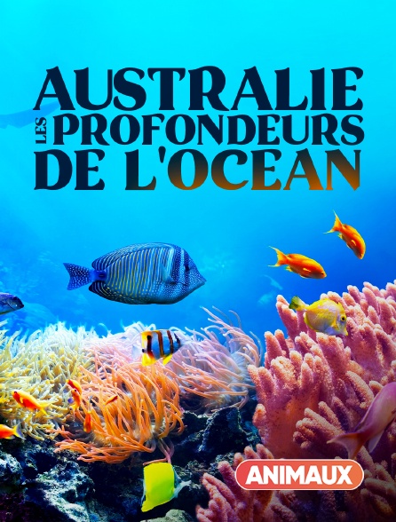 Animaux - Australie : les profondeurs de l'Océan - 20/09/2024 à 18h00