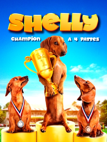 Shelly, champion à quatre pattes