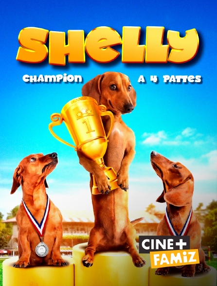 Ciné+ Famiz - Shelly, champion à quatre pattes