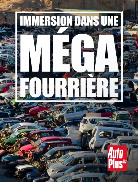 AutoPlus - Immersion dans une méga fourrière