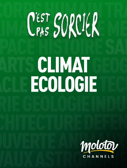 Mango - C'est pas sorcier : Climat et Ecologie