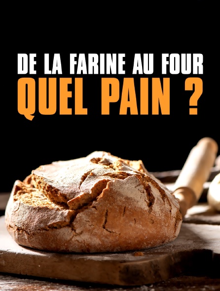 De la farine au four, quel pain ?