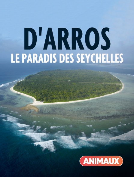 Animaux - D'Arros, le paradis des Seychelles