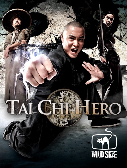 Wild Side TV - Tai chi hero