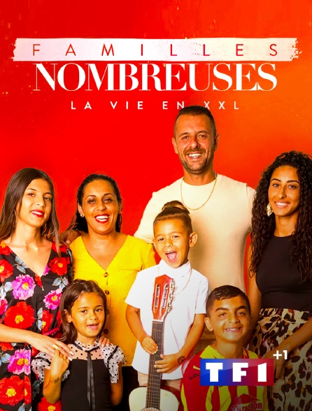 TF1 +1 - Familles nombreuses : la vie en XXL