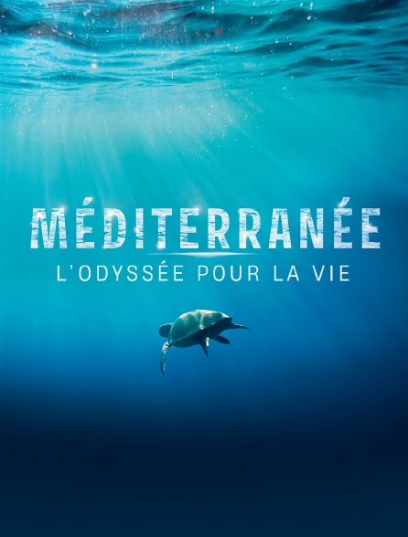 Méditerranée, l'odyssée pour la vie - 21/08/2024 à 01h27