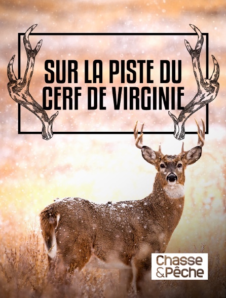 Chasse et pêche - Sur la piste du cerf de Virginie à St Pierre et Miquelon