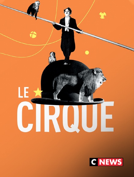 CNEWS - Le cirque