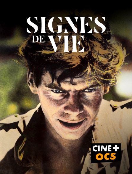 CINÉ Cinéma - Signes de vie