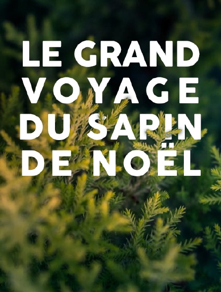 Le grand voyage du sapin de Noël