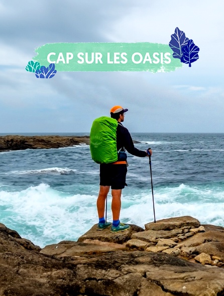 Cap sur les oasis