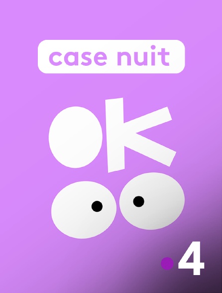 France 4 - Case nuit Okoo