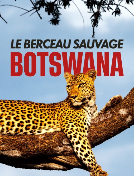 Botswana, le berceau sauvage