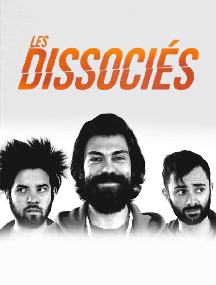 Suricate : Les Dissociés