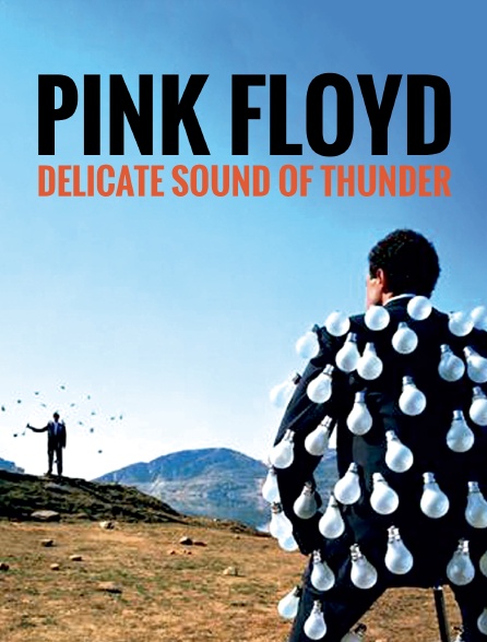 Pink Floyd : Delicate Sound of Thunder