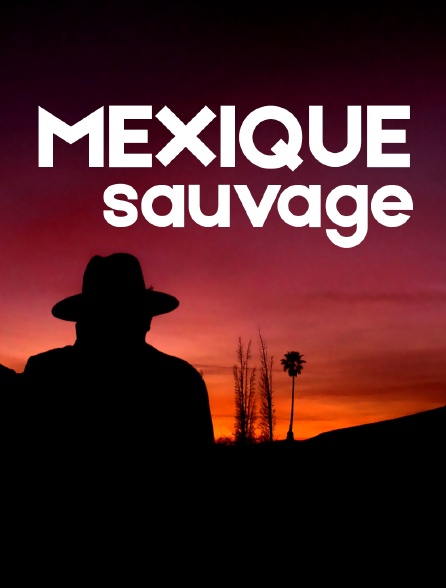 Mexique sauvage