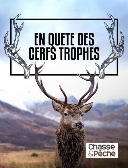 Chasse et pêche - En Quête des Cerfs Trophées