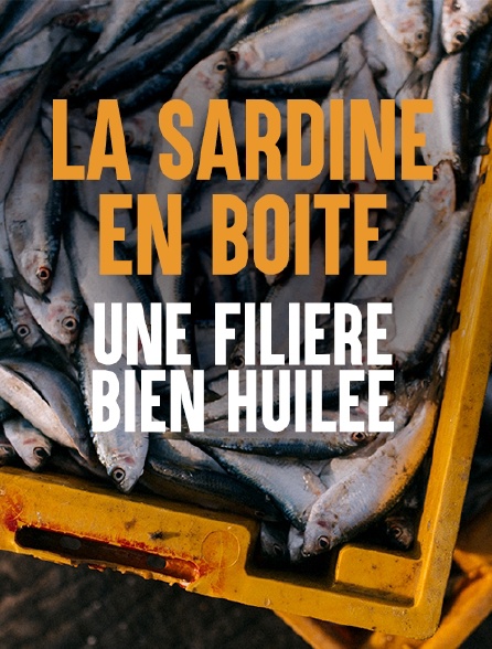 La sardine en boîte, une filière bien huilée