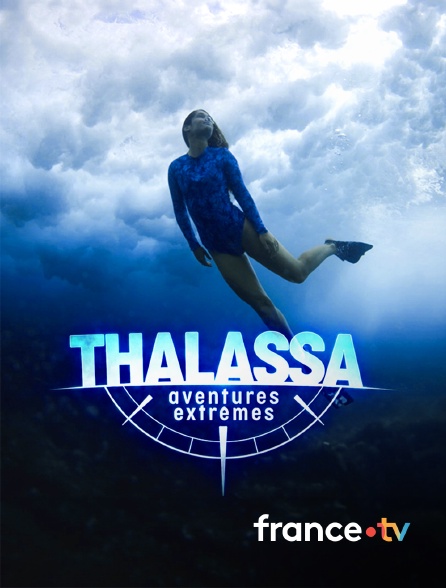 france.tv - Thalassa, aventures extrêmes