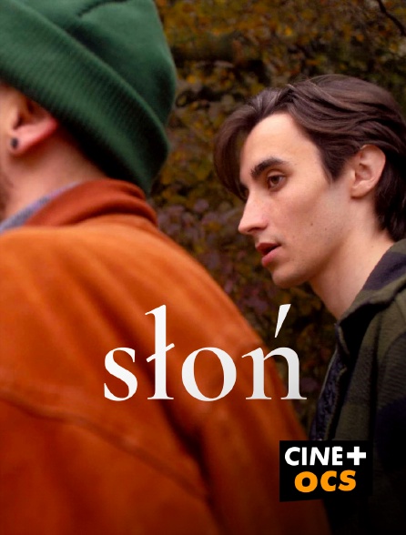 CINÉ Cinéma - Slon