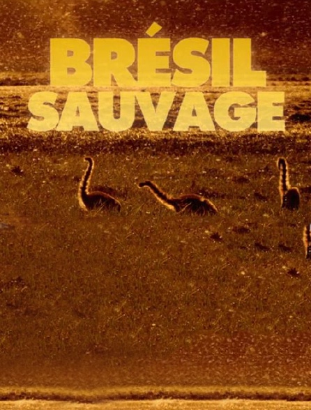 Brésil sauvage