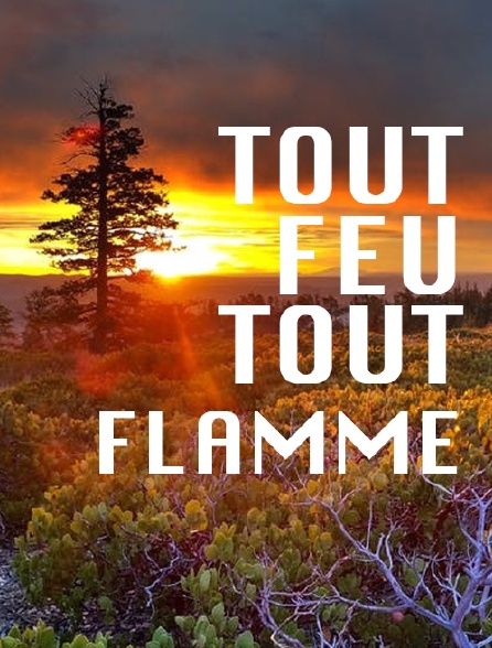 Tout feu, tout flamme