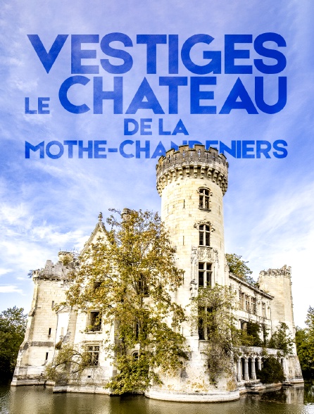 Vestiges : le château de la Mothe-Chandeniers