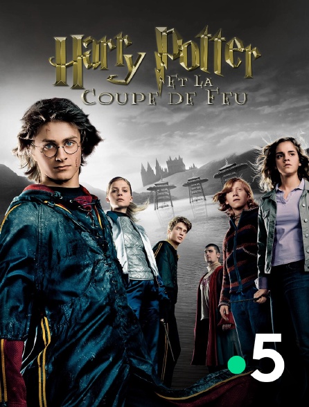 France 5 - Harry Potter et la Coupe de feu