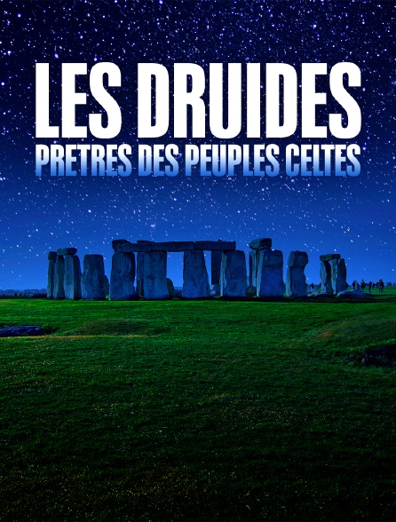 Les druides : prêtres des peuples celtes