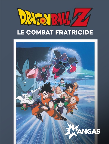 MANGAS - Dragon Ball Z : le combat fratricide