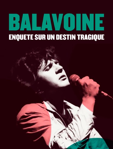 Balavoine : enquête sur un destin tragique