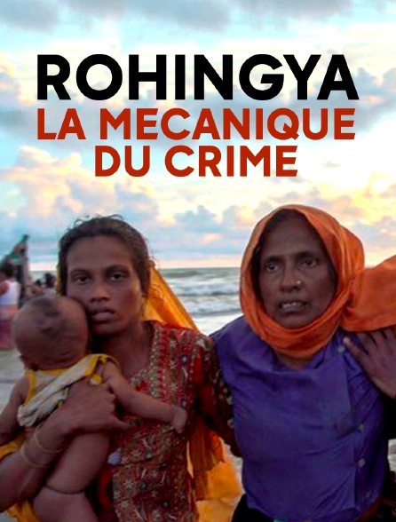 Rohingya, la mécanique du crime