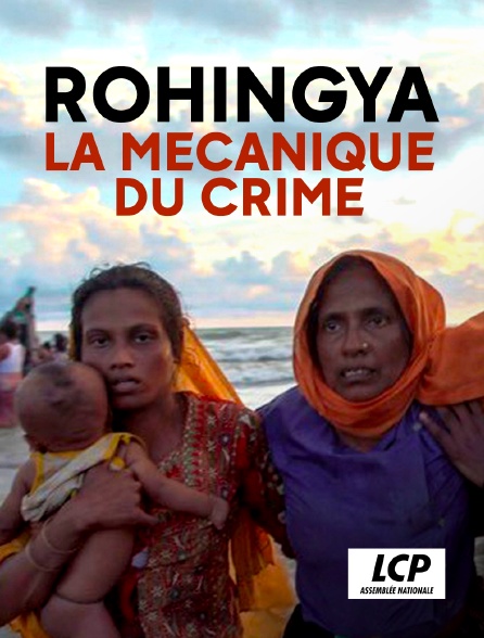 LCP 100% - Rohingya, la mécanique du crime