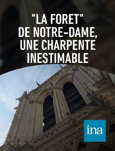 INA - La charpente de Notre Dame