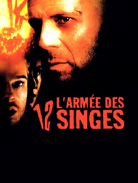 L'armée des 12 singes en streaming gratuit