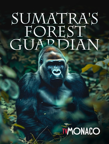 TV Monaco - Sumatra's Forest Guardian