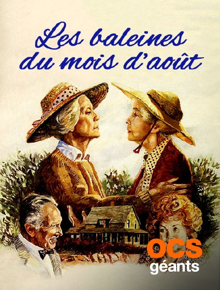 OCS Géants - Les baleines du mois d'août