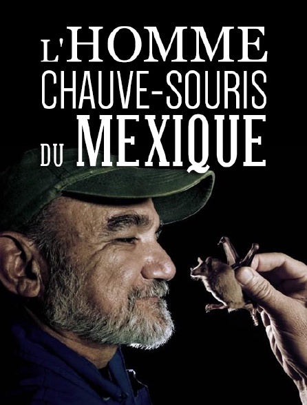 L'homme chauve-souris du Mexique