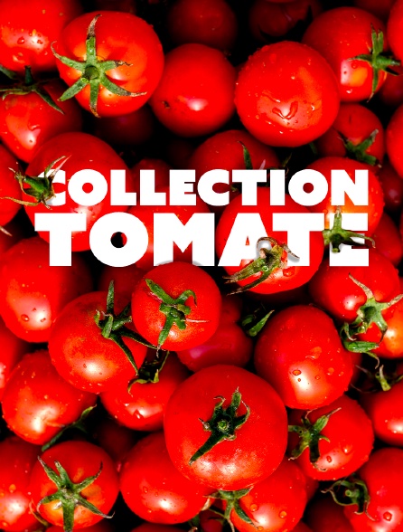 Collection tomate