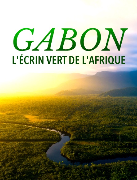 Gabon, l'écrin vert de l'Afrique