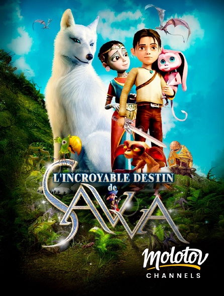 Molotov channels - L'incroyable destin de Savva