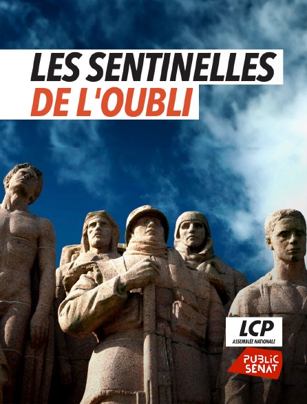 LCP Public Sénat - Les sentinelles de l'oubli