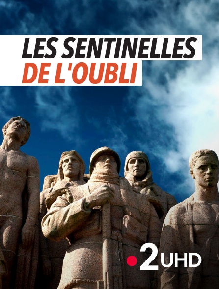 France 2 UHD - Les sentinelles de l'oubli